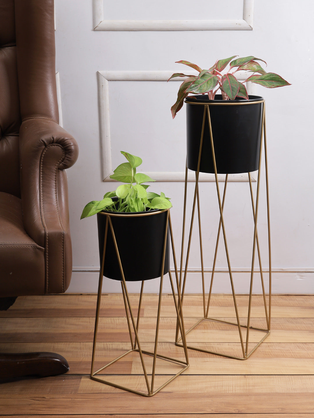 Black Planters with Golden Stand Set of 2 - Default Title (CHM2126_2)