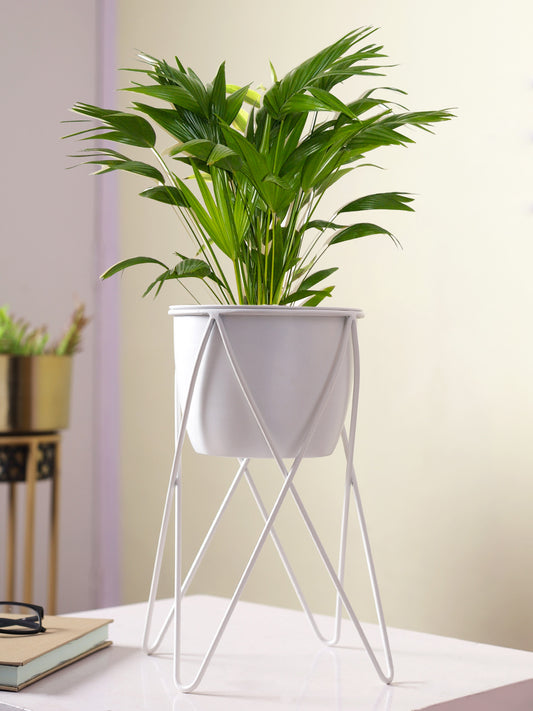 Classic White Planter with Stand - Default Title (CHM2201WH)