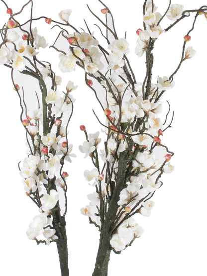 Refreshing and Chick set of Chimonanthus Flowers-White-Set of 2 - Default Title (FL209402WH)