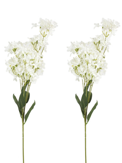 Vibrant and colourful set of Cruciferous Flowers-White-Set of 2 - Default Title (FL209410WH)