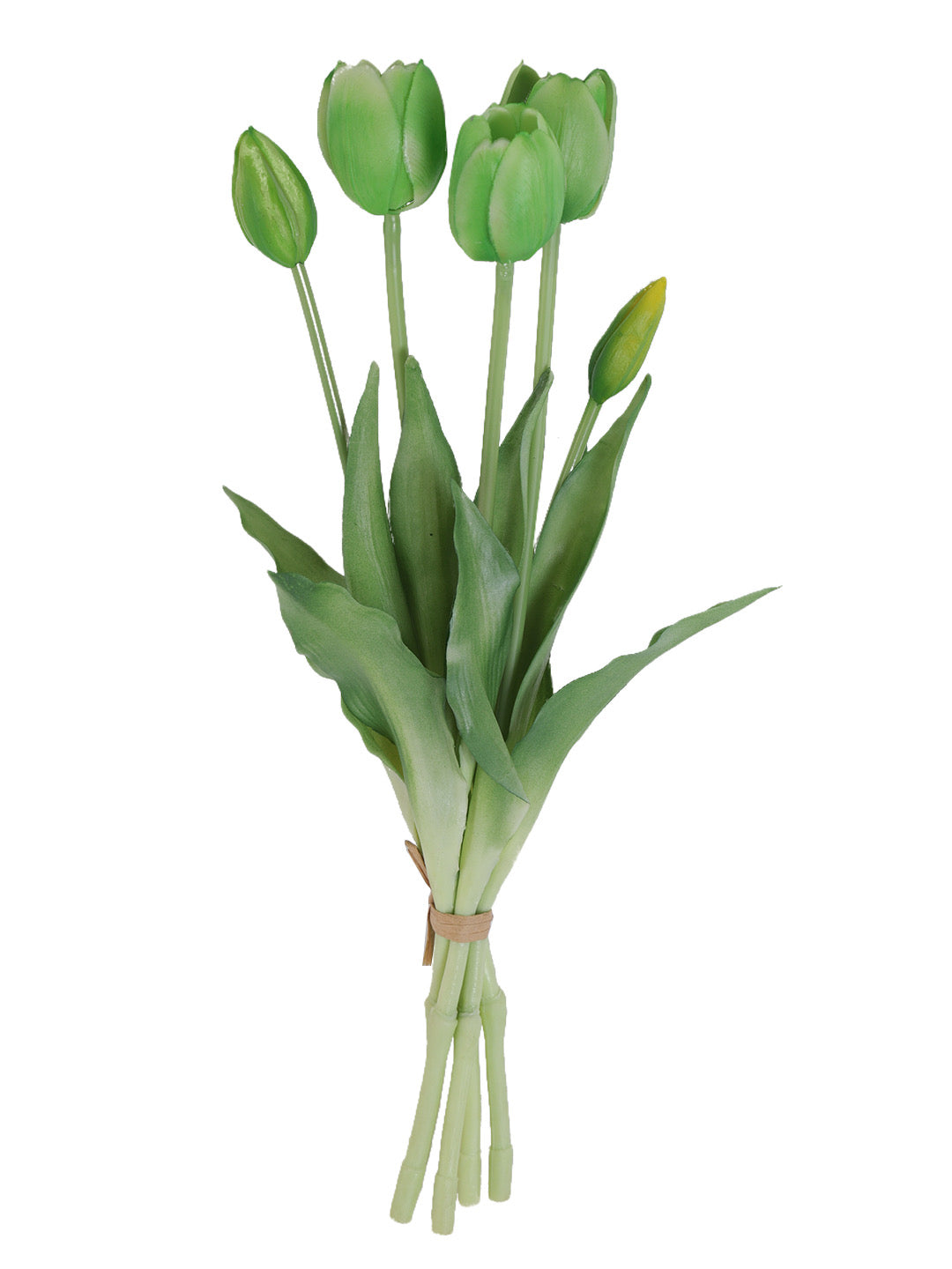 Set of 5 Alluring bunch of Real alike Tulip Flowers and Buds in Green - Default Title (FL21205GR)
