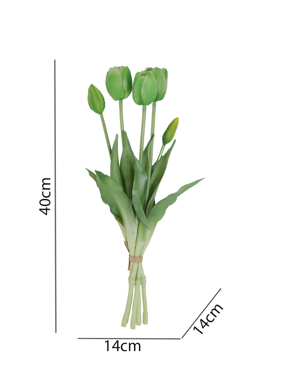 Set of 5 Alluring bunch of Real alike Tulip Flowers and Buds in Green - Default Title (FL22205GR_5)