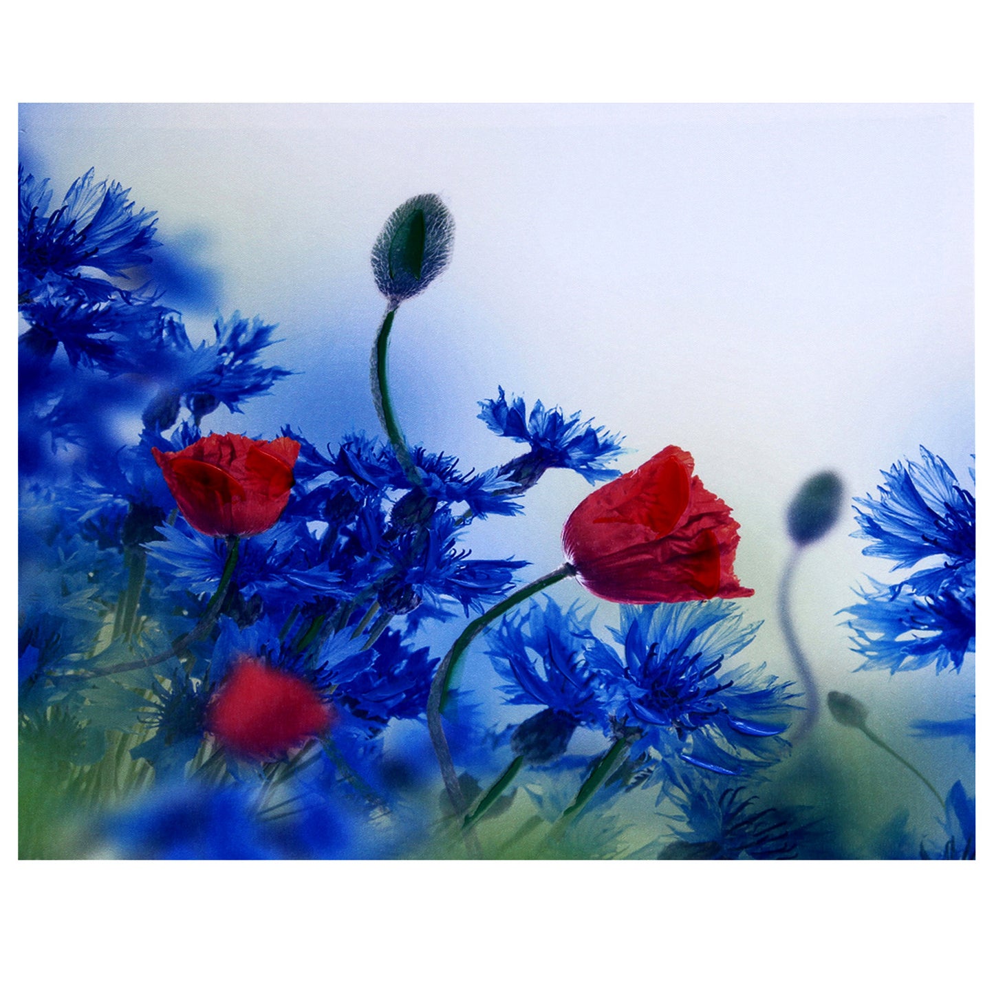 Deep Red & Blue Hues Floral Canvas Painting - Default Title (PAINT1814)