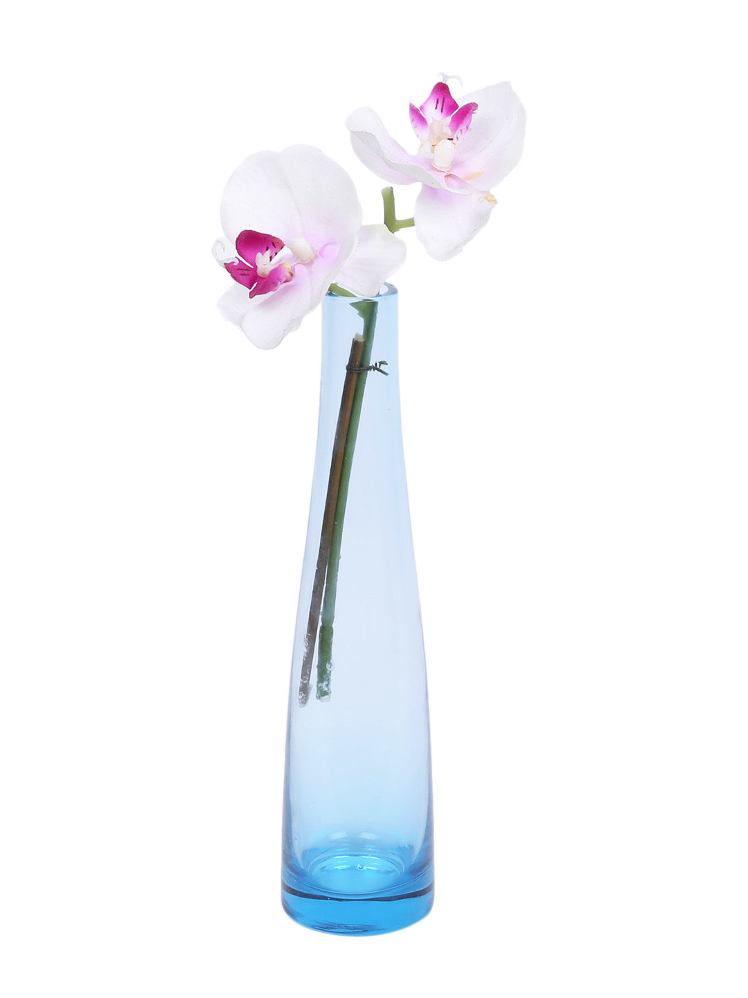 Elegant and Crystal Clear Vase - Default Title (VAS1916BL)