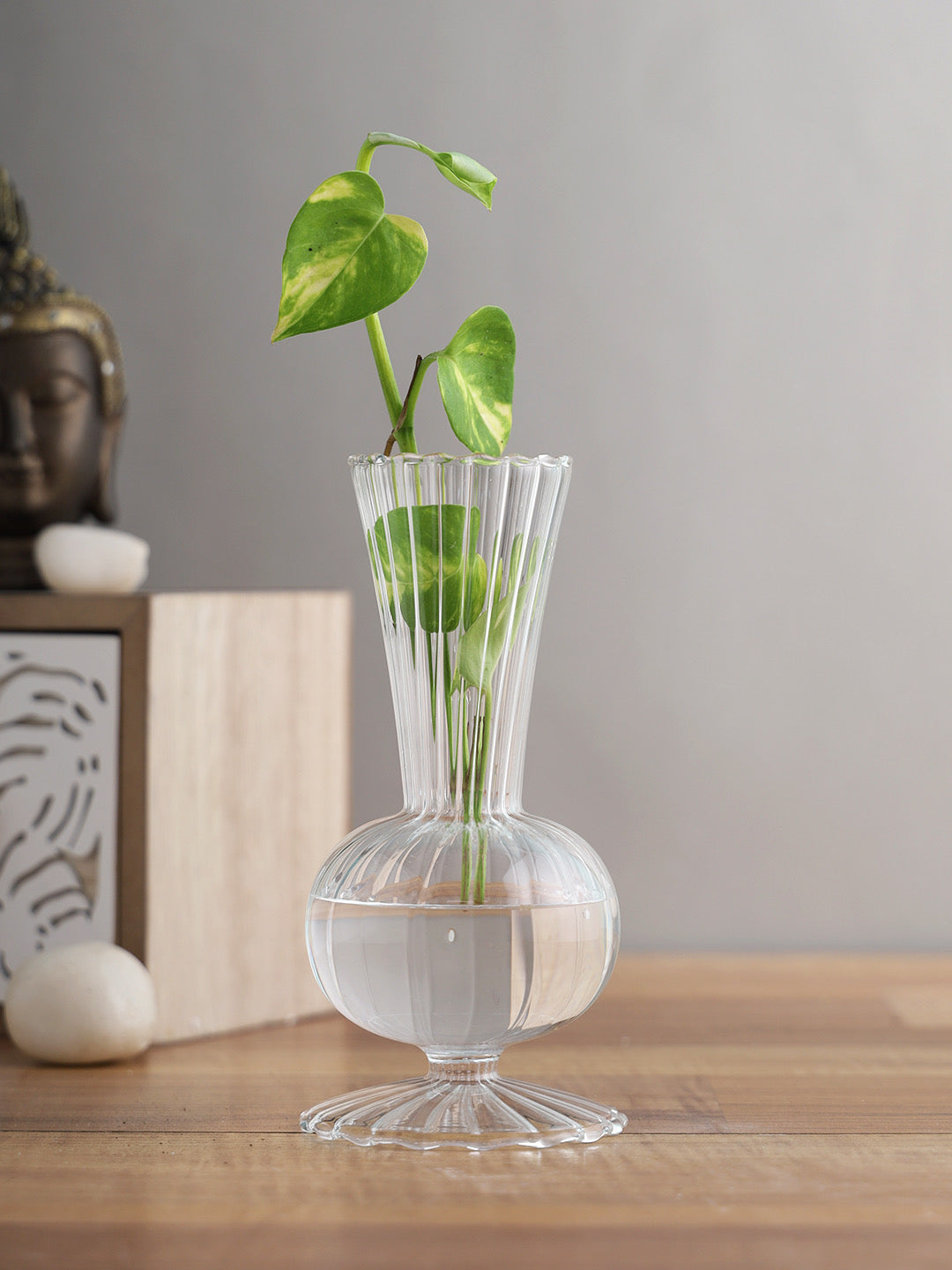 Textured transperant Glass Flower Vase - Default Title (VAS22010)