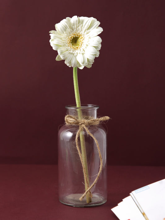 Crystal Clear Glass Vase - Default Title (VAS221018WH)