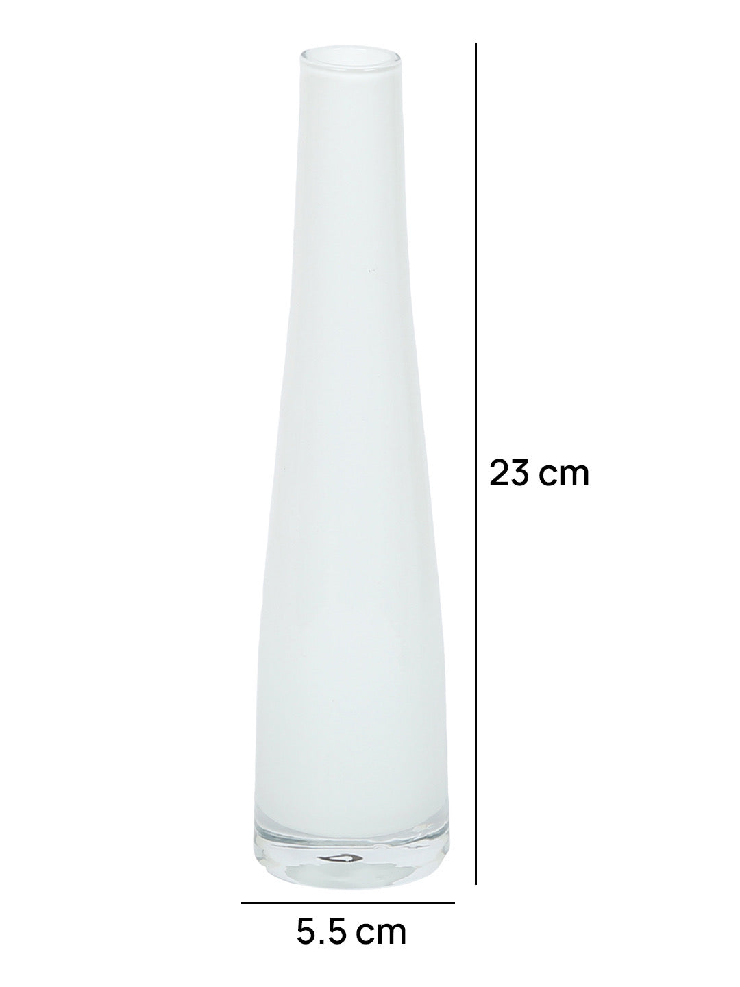 Stylish Transparent Orange Vase - Default Title (VAS22239WH)